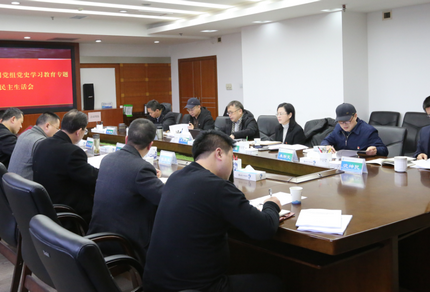 ng电子游戏公司党组召开党史进建教育专题民主生涯会