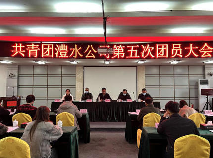 ng电子游戏公司第五次团员大会召开