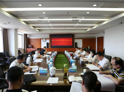 ng电子游戏公司党组理论进建中心组发展主题教育第二次集中进建钻研