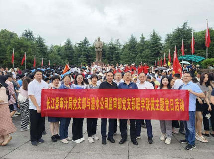 长江委审计局党支部与ng电子游戏公司监审部党支部结合发展联学联做主题党日活动