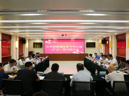 ng电子游戏公司党组理论进建中心组发展主题教育第五次集中进建钻研