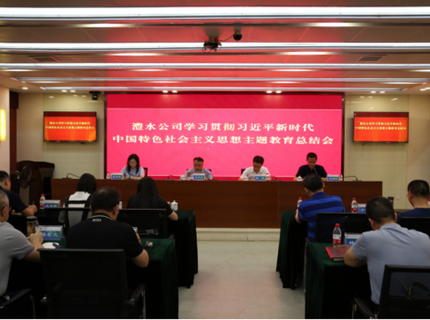 ng电子游戏公司召开进建贯彻习近平新时期中国特色社会主义思想主题教育总结会