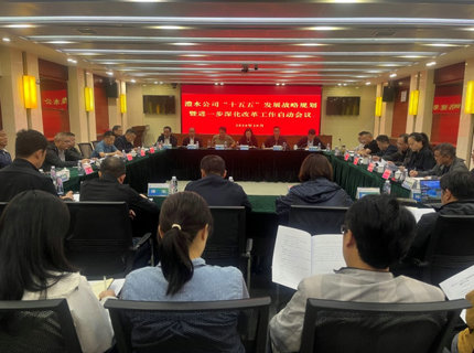 ng电子游戏公司召开“十五五”发展战术规划暨进一步深入鼎新工作启动会