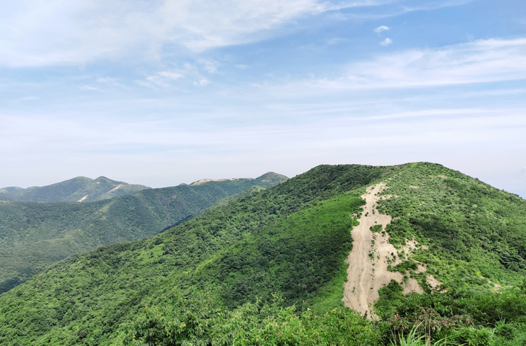 天子山风电。ㄔ诮ǎ