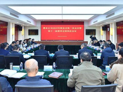 ng电子游戏公司召开2025年股东会第二次会议暨第十一届董事会第四次会议