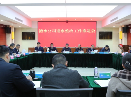 ng电子游戏公司召开巡察整改工作推动会