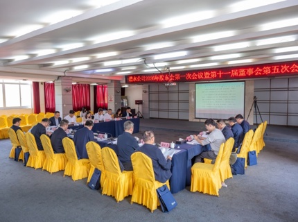 ng电子游戏公司召开2026年股东会第一次会议暨第十一届董事会、监事会第五次会议